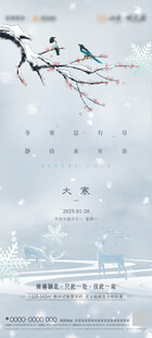 大寒海报