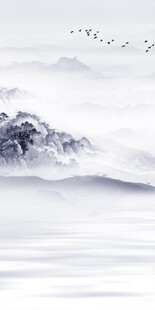 简约 高端新品玄关 TiF分层