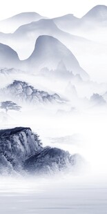 新款 高档新传玄关 TiF分层