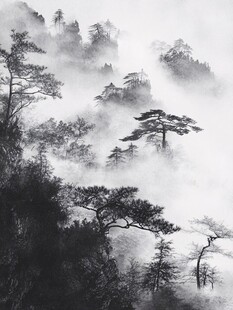 高山青松素材-高山青松图片-高山青松设计模板-昵图网 