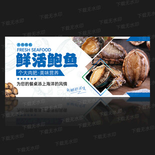 鲍鱼