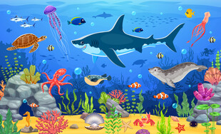 卡通鲨鱼海龟海底动物珊瑚背景墙