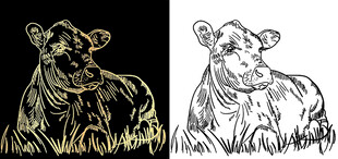 牛线条手绘插画矢量牛肉安格斯牛