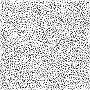 矢量虫子肌理热压纹