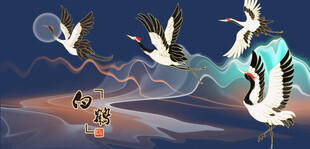 鹤仙鹤白鹤丹顶鹤