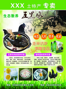 五黑鸡 鸡蛋 土特产