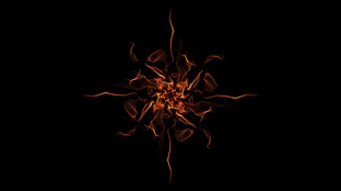 炫酷艺术花纹抽象