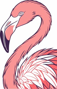 手绘火烈鸟插画