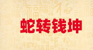 蛇年快闪片头喜庆片头