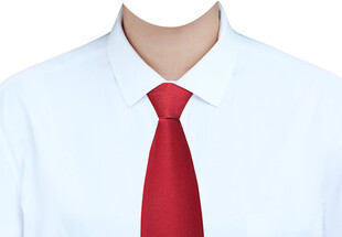 女白衬衫红领带证件照衣服素材