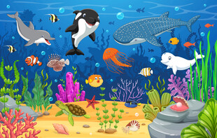 卡通海豚鲸鱼海底珊瑚水族馆背景