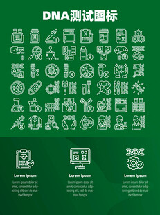 DNA测试
