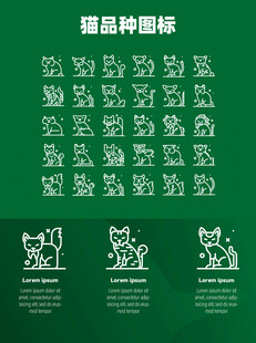 猫品种图标