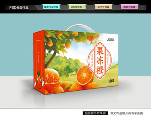 橙子包装 果冻橙礼盒