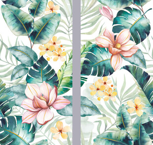 芭蕉叶热带雨林