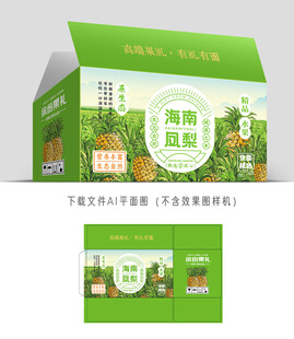海南凤梨包装