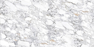 高清鱼肚白网纹大理石