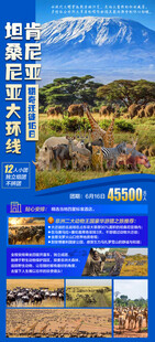 肯尼亚 坦桑尼亚大环线猎奇迁徙