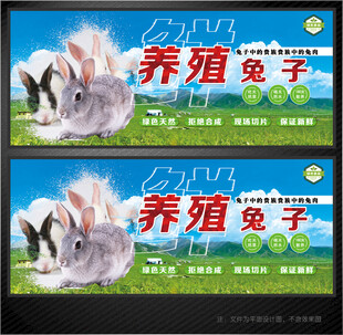 兔子展板