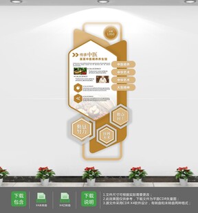 中医院文化墙