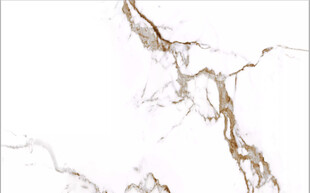 高清鱼肚金大理石