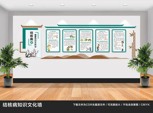 结核病防治文化墙