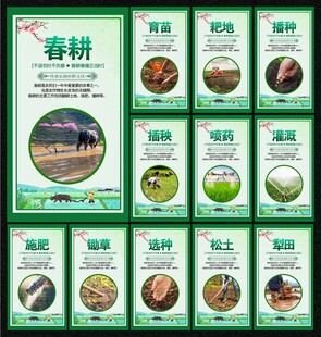 春耕文化