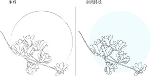 玉兰花 矢量图