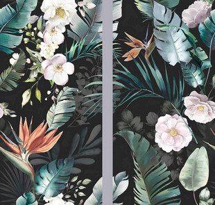 芭蕉叶