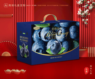 蓝莓包装 水果礼盒