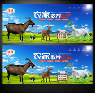 农家山羊展板