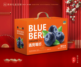 蓝莓包装 水果礼盒