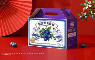 蓝莓包装