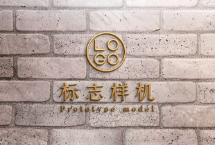 高端LOGO样机