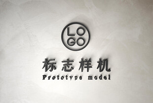 高端LOGO样机