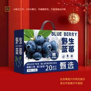 蓝莓包装盒