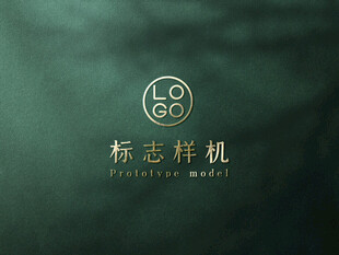 高端LOGO样机
