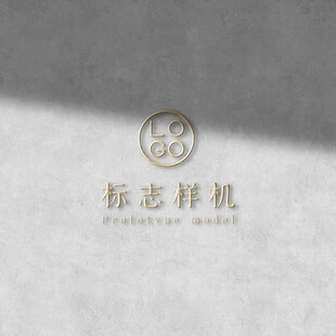 高端LOGO样机