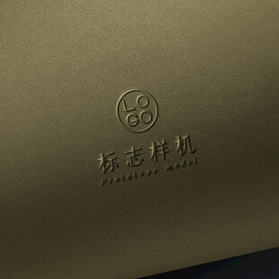 高端LOGO样机