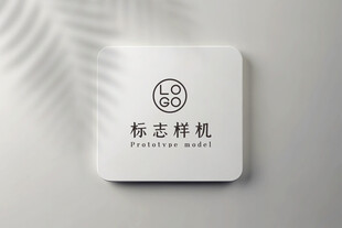 高端LOGO样机