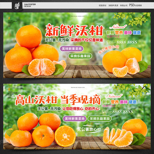 沃柑
