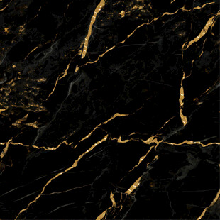 黑金花 金龙黑高清瓷砖设计