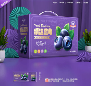 蓝莓包装礼盒
