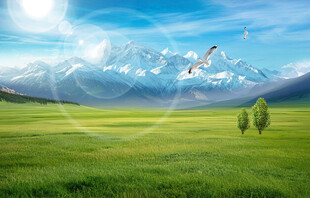 蓝天白云大草原