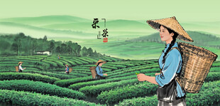 采茶女采茶姑娘