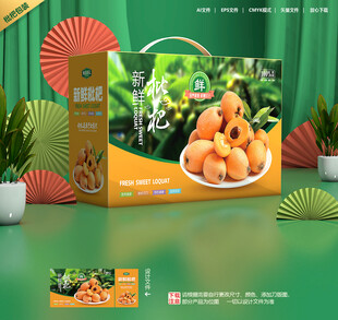 枇杷包装