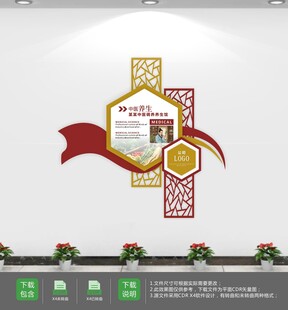 中医宣传文化墙