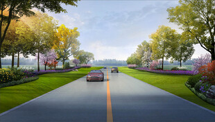 乡村道路效果图