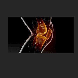 关节活动骨骼健康动画 