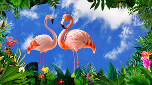 蓝天白云热带花草背景